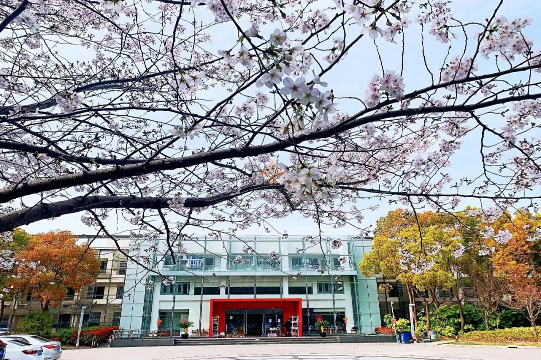 盛創(chuàng)中心-張江科學(xué)城園區(qū)，與浦東軟件園隔街相望